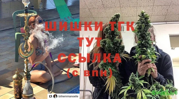 ПСИЛОЦИБИНОВЫЕ ГРИБЫ Краснослободск